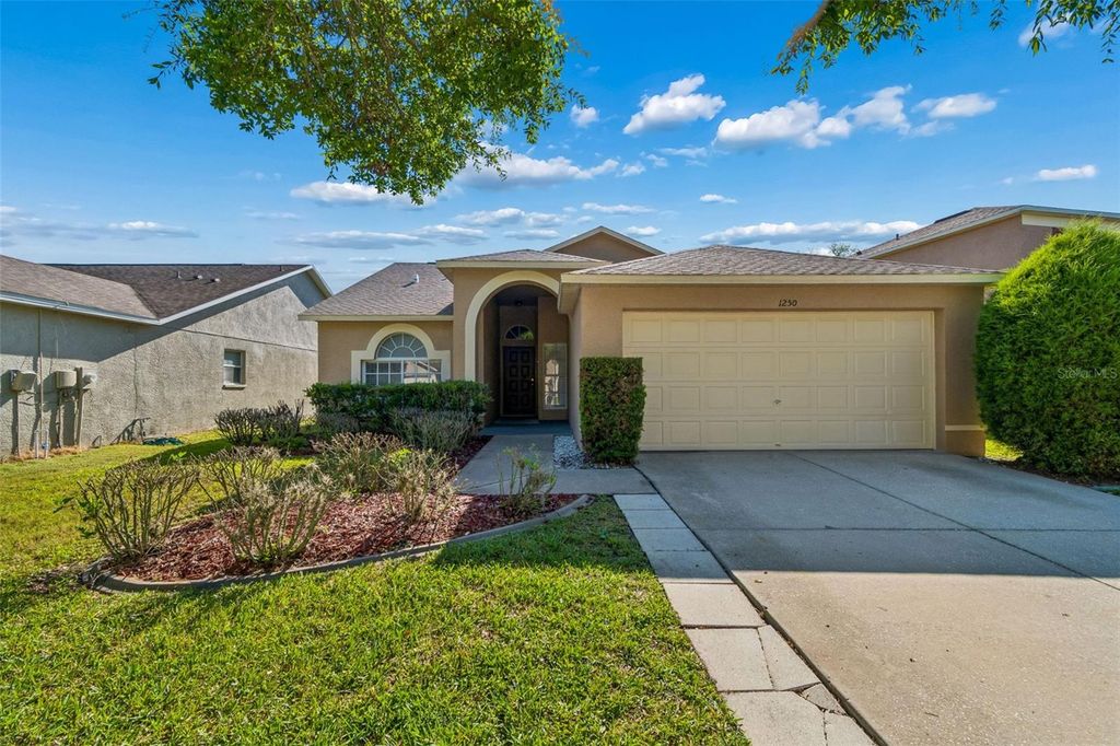 1250 SALT CLAY COURT, Wesley Chapel, FL 33544