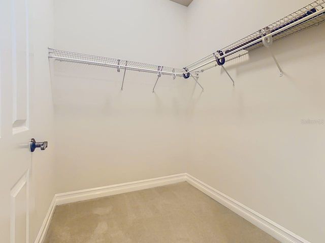 803 FRONT STREET 4101, Celebration, FL 34747