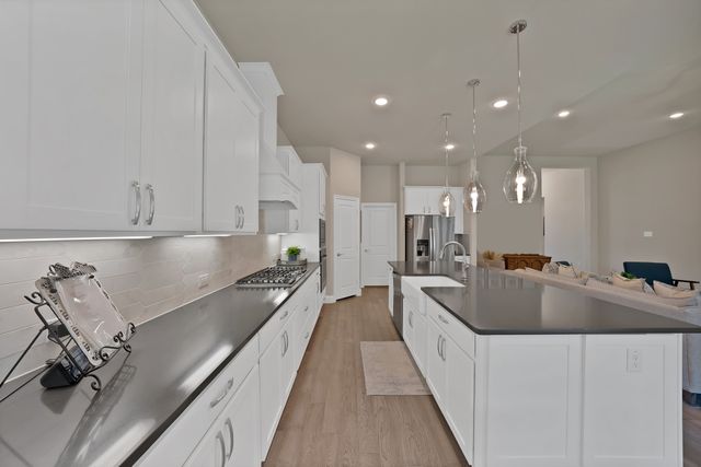 205 Northern Star Court, Little Elm, TX 75068