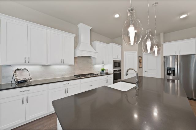 205 Northern Star Court, Little Elm, TX 75068