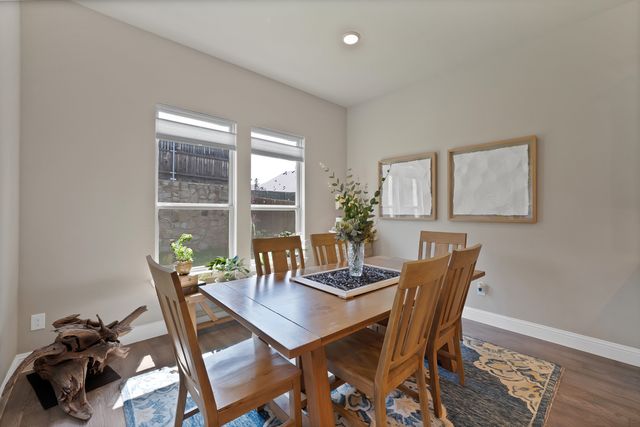 205 Northern Star Court, Little Elm, TX 75068