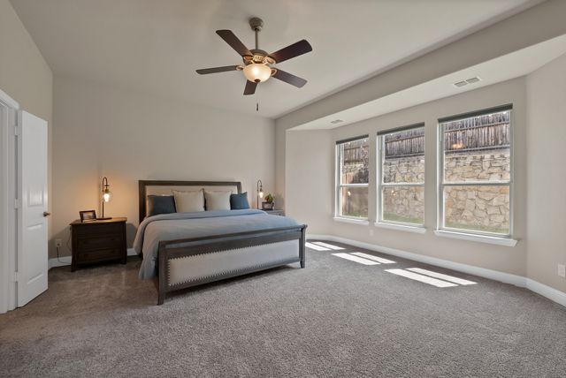 205 Northern Star Court, Little Elm, TX 75068