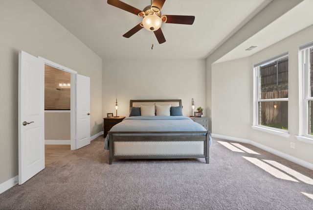 205 Northern Star Court, Little Elm, TX 75068