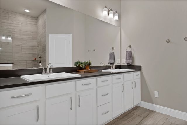 205 Northern Star Court, Little Elm, TX 75068