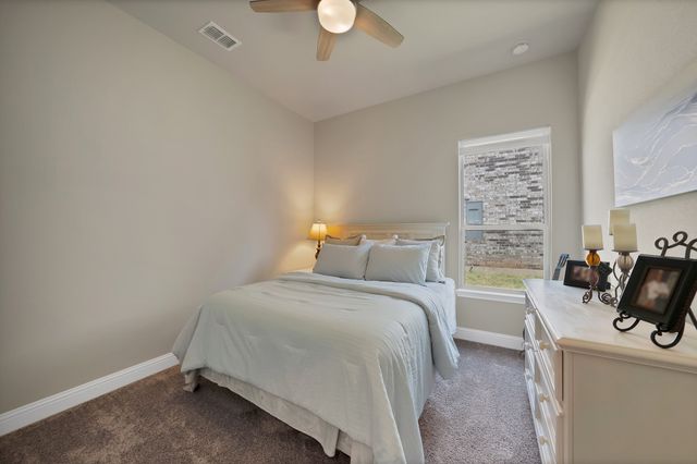 205 Northern Star Court, Little Elm, TX 75068