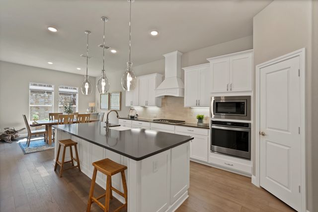 205 Northern Star Court, Little Elm, TX 75068