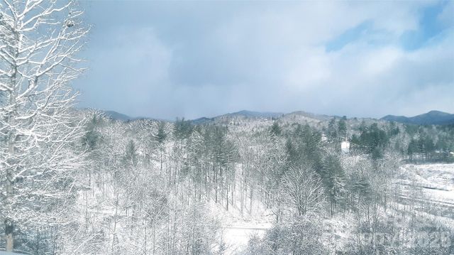 143 Fox Grape Hollow Road, Mars Hill, NC 28754