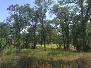 Squaw Grass Trail, Redding, CA 96003