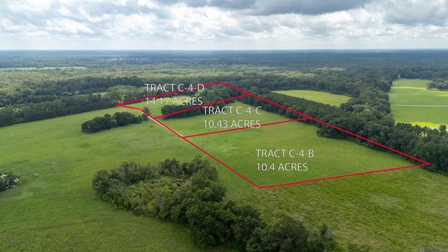 Tract C-4-B Blatt Ln, Ethel, LA 70730