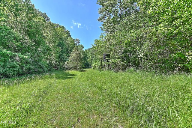 3388 Flower Gap Road, Blackwater, VA 24221