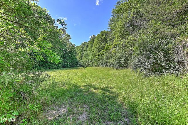 3388 Flower Gap Road, Blackwater, VA 24221