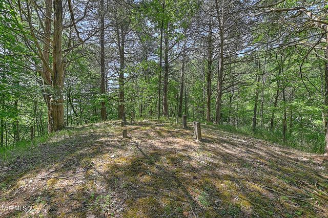 3388 Flower Gap Road, Blackwater, VA 24221