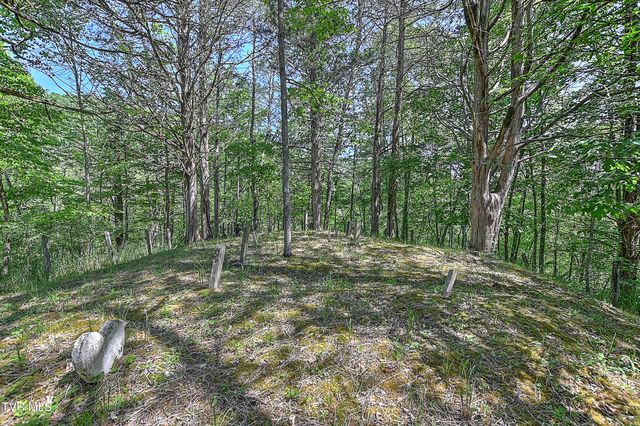 3388 Flower Gap Road, Blackwater, VA 24221