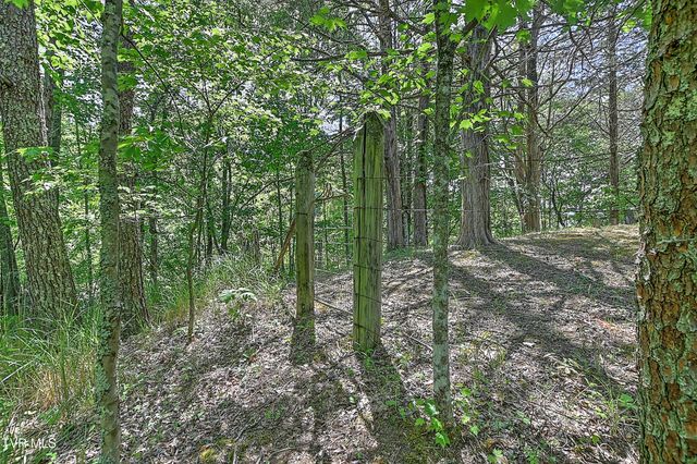 3388 Flower Gap Road, Blackwater, VA 24221