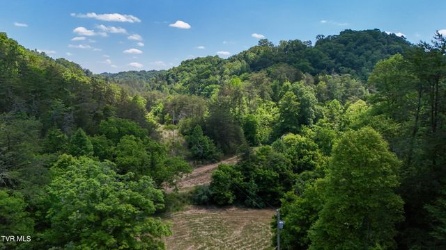 3388 Flower Gap Road, Blackwater, VA 24221