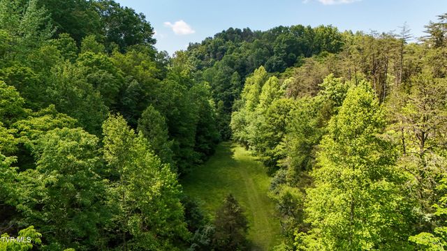 3388 Flower Gap Road, Blackwater, VA 24221