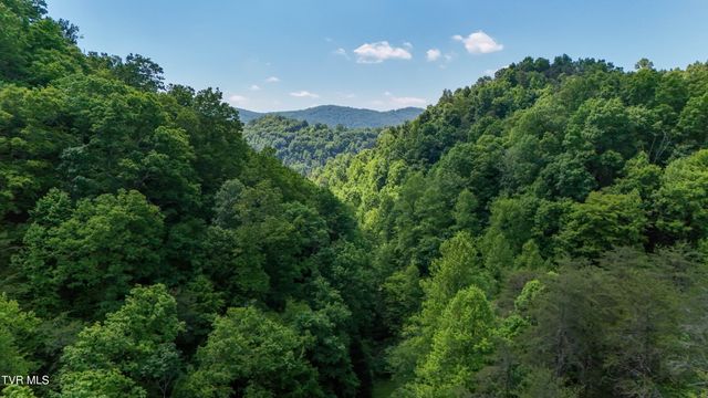 3388 Flower Gap Road, Blackwater, VA 24221
