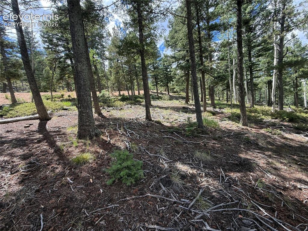167 Big Bear Road, Manitou Springs, CO 80829 — exterior