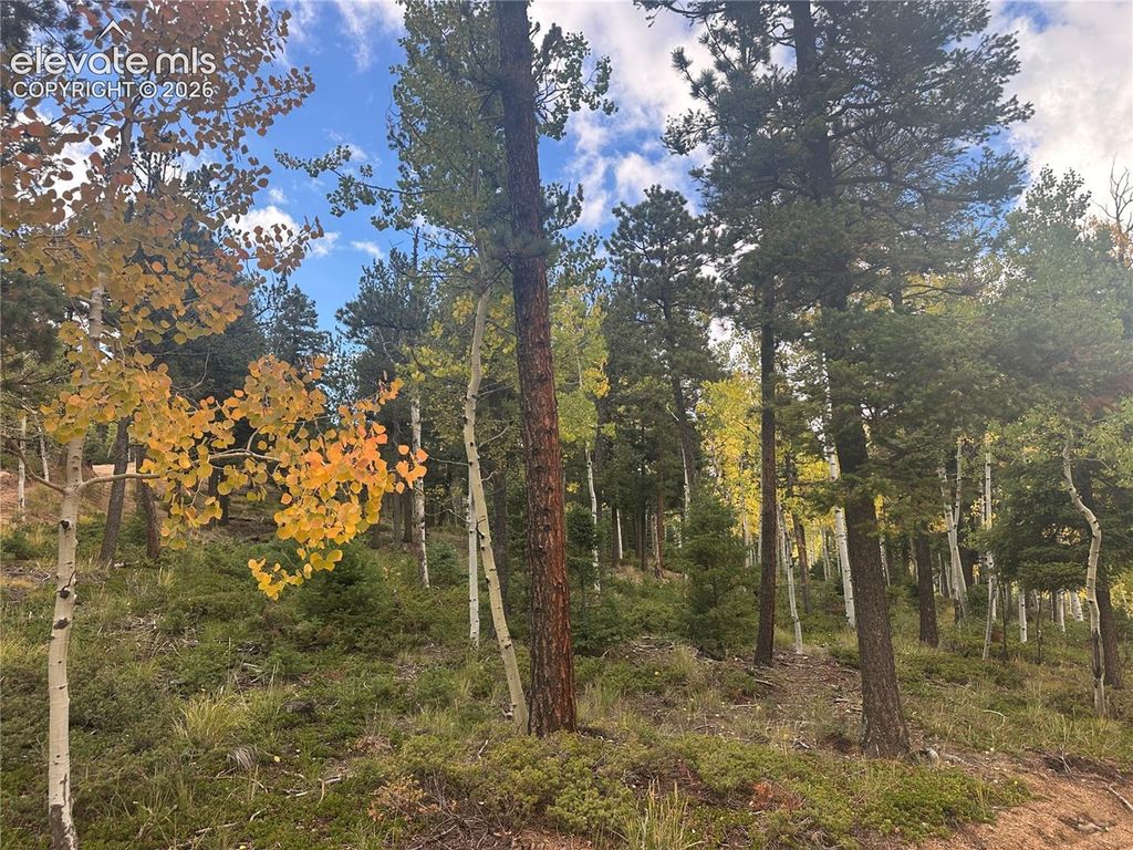167 Big Bear Road, Manitou Springs, CO 80829 — photo 2