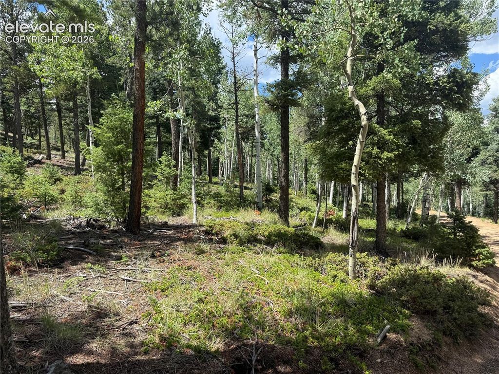 167 Big Bear Road, Manitou Springs, CO 80829 — photo 3