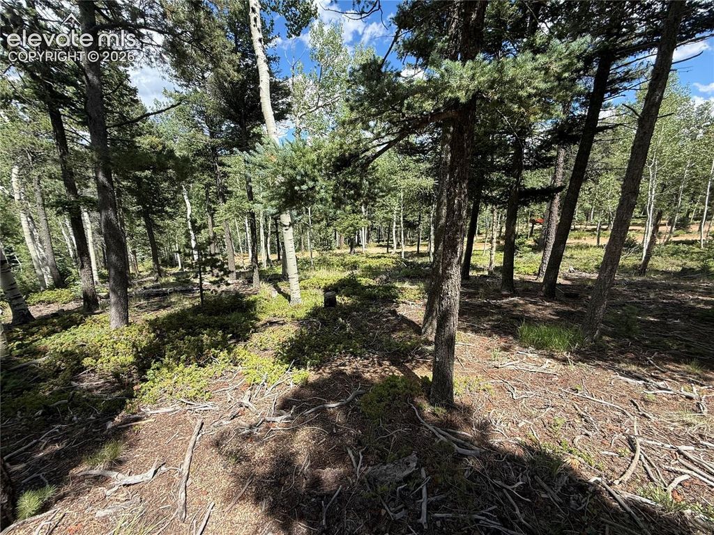 167 Big Bear Road, Manitou Springs, CO 80829 — photo 4