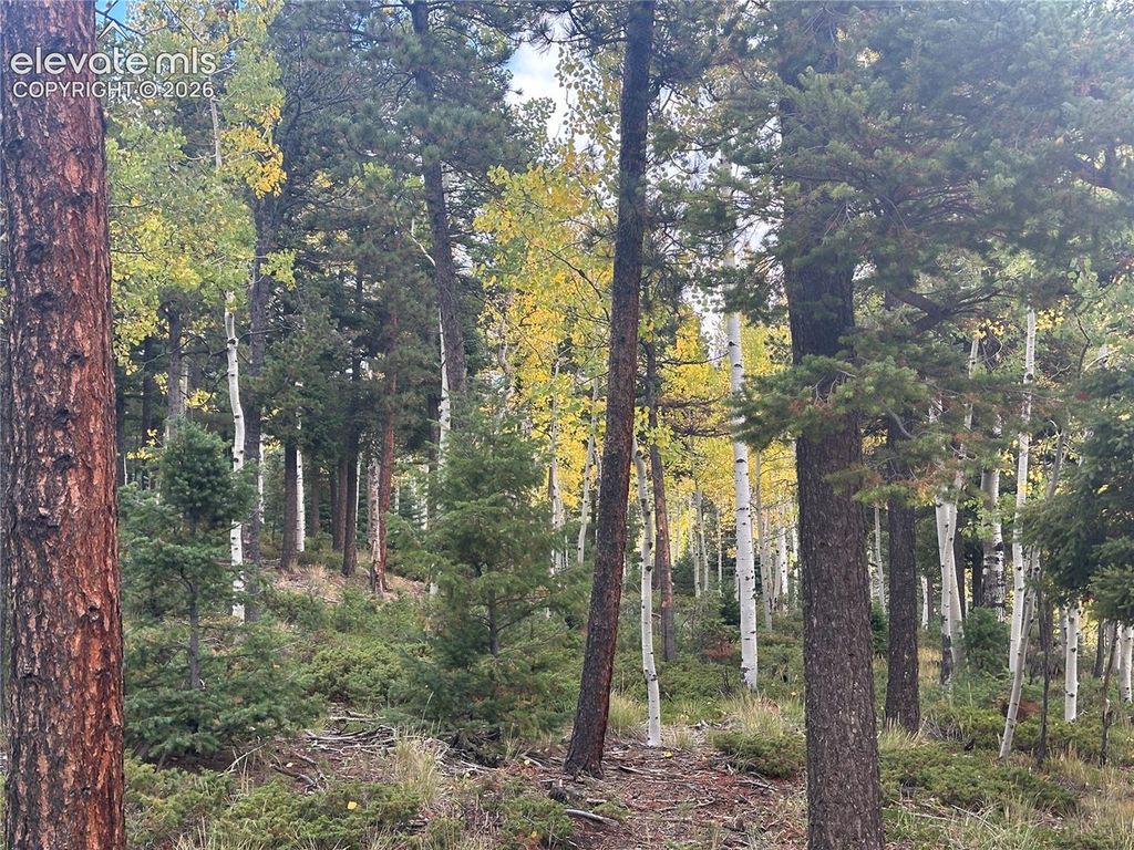 167 Big Bear Road, Manitou Springs, CO 80829 — photo 5