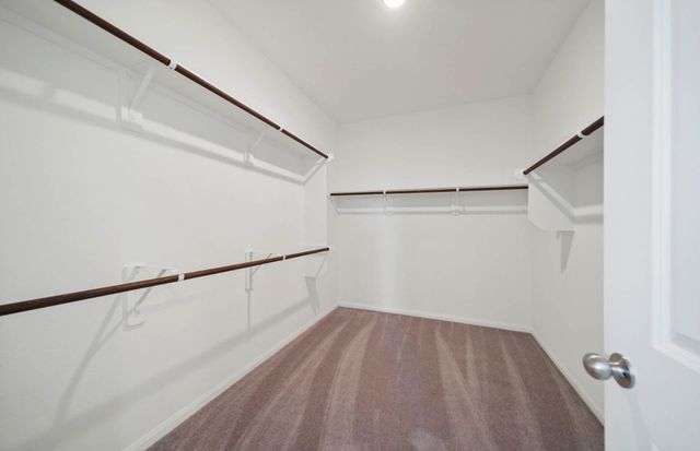 16193 Sepia Manor Street, Conroe, TX 77378