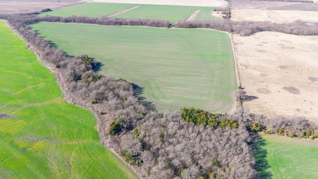 000 CR 3140, Pecan Gap, TX 75469