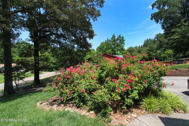 628 Greenwich Drive, Maryville, TN 37803