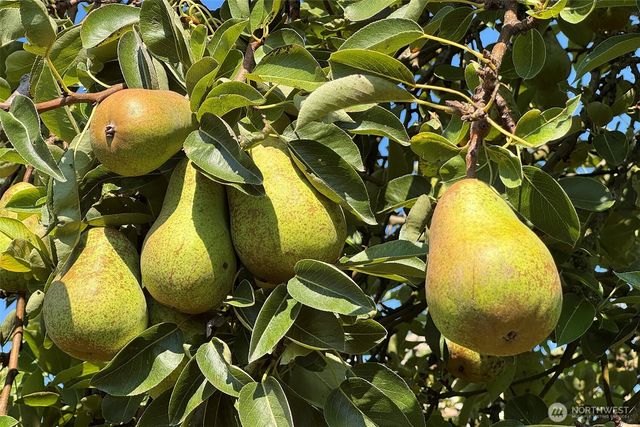 3634 Deer Park Road, Port Angeles, WA 98362