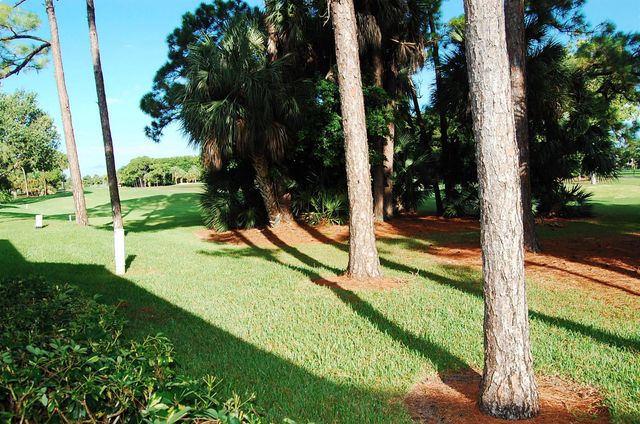 120 Old Meadow Way, Palm Beach Gardens, FL 33418