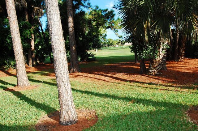 120 Old Meadow Way, Palm Beach Gardens, FL 33418