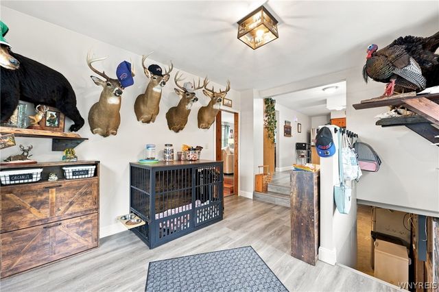 5227 Big Tree Road, Orchard Park, NY 14127