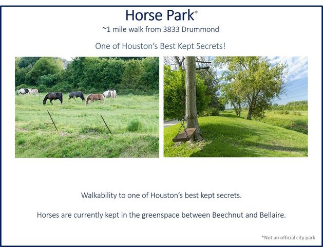 3833 Drummond Street, Houston, TX 77025