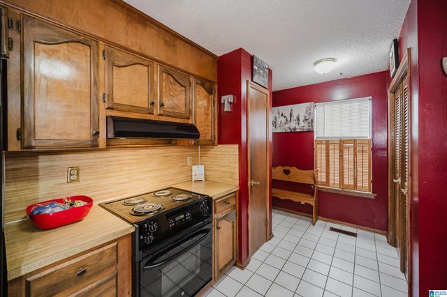 17 FREDA JANE LANE, Birmingham, AL 35215