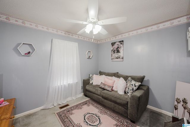 17 FREDA JANE LANE, Birmingham, AL 35215