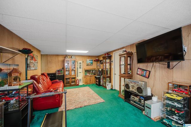 17 FREDA JANE LANE, Birmingham, AL 35215
