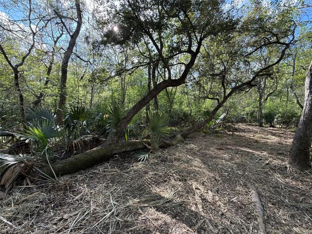 Tract 2 County Road 332, Sweeny, TX 77480