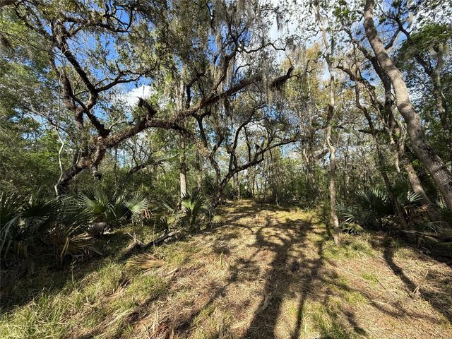 Tract 2 County Road 332, Sweeny, TX 77480