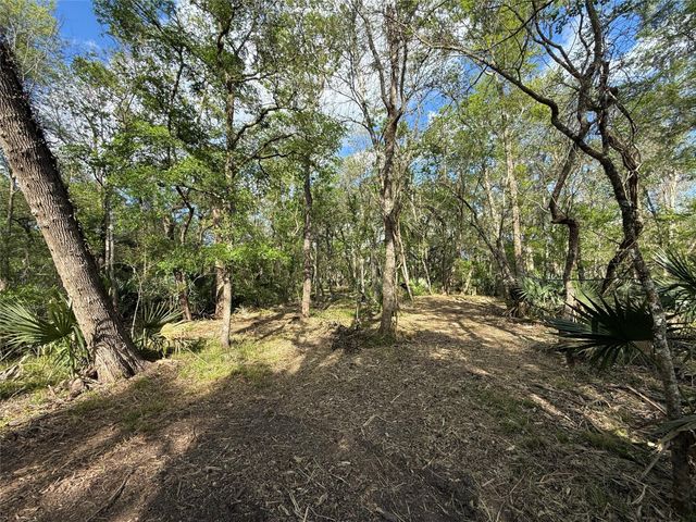 Tract 2 County Road 332, Sweeny, TX 77480