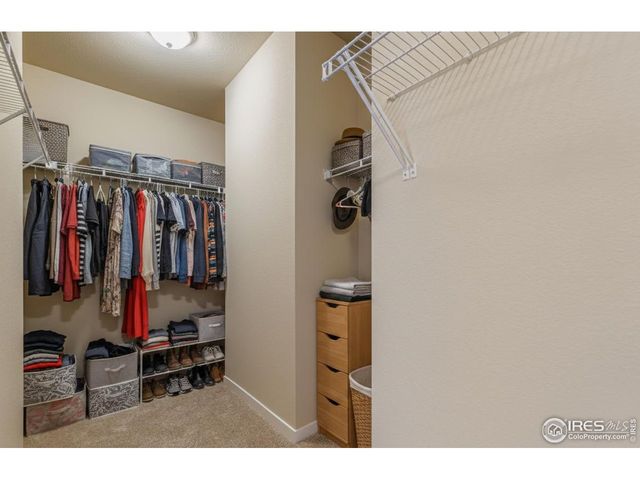 640 Noola St, Windsor, CO 80550