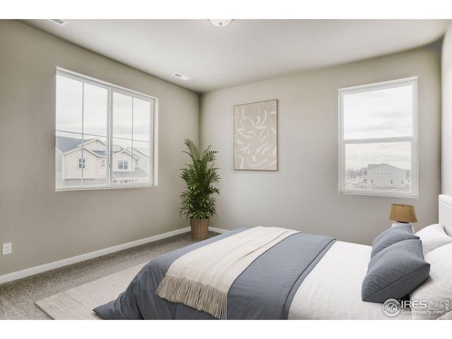 640 Noola St, Windsor, CO 80550