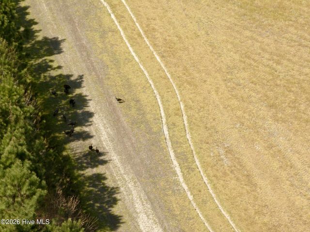 0 Medical Center Road, Gates, NC 27937