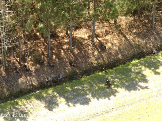 0 Medical Center Road, Gates, NC 27937