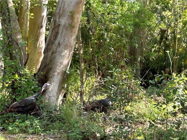 820 Bowling Lane, Lake Placid, FL 33852