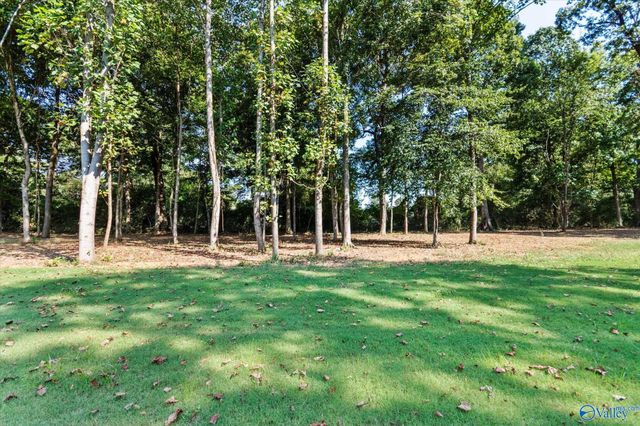 20933 Jeremiah Lane, Athens, AL 35611