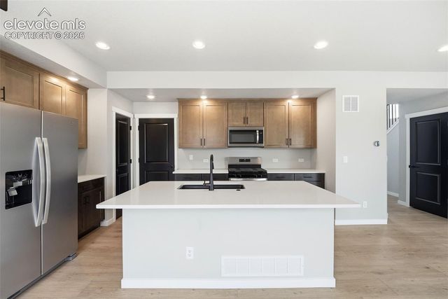 17723 Brass Buckle Way, Monument, CO 80132