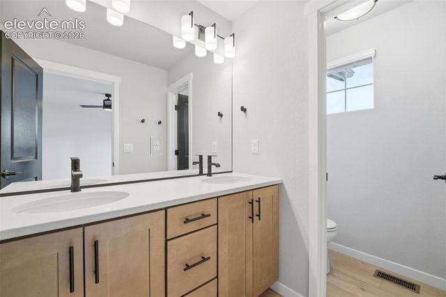 17723 Brass Buckle Way, Monument, CO 80132