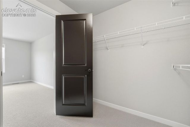 17723 Brass Buckle Way, Monument, CO 80132