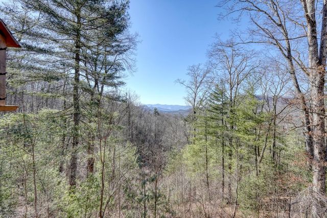 310 Barefoot Hills Road, Hiawassee, GA 30546